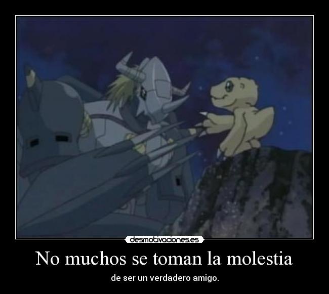 No muchos se toman la molestia - de ser un verdadero amigo.