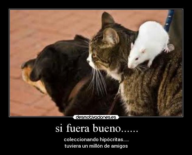 si fuera bueno...... -