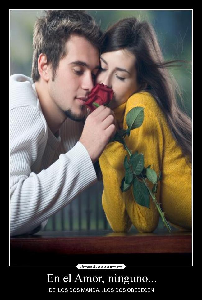 carteles amor amor energia sexo nena pareja cuerpos desmotivaciones