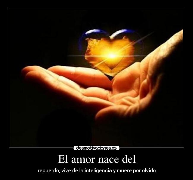 El amor nace del - 