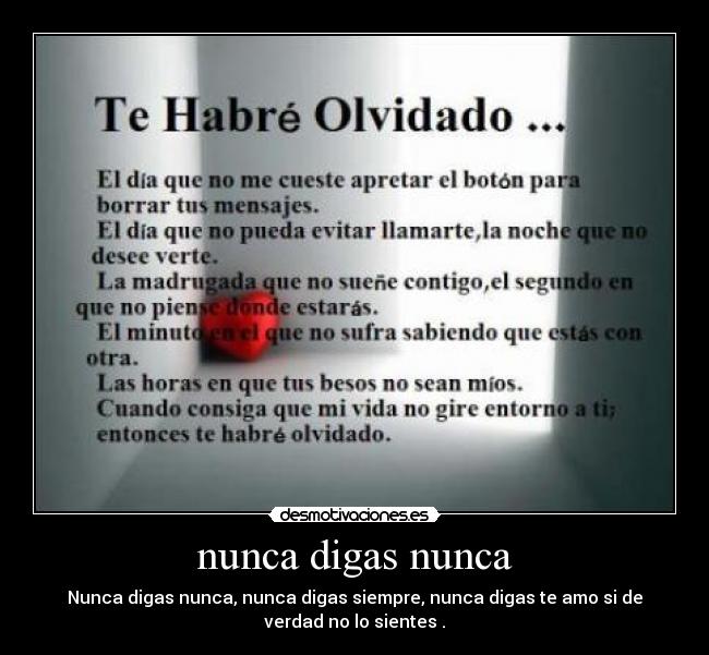 nunca digas nunca -