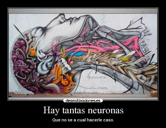 Hay tantas neuronas - Que no se a cual hacerle caso.
