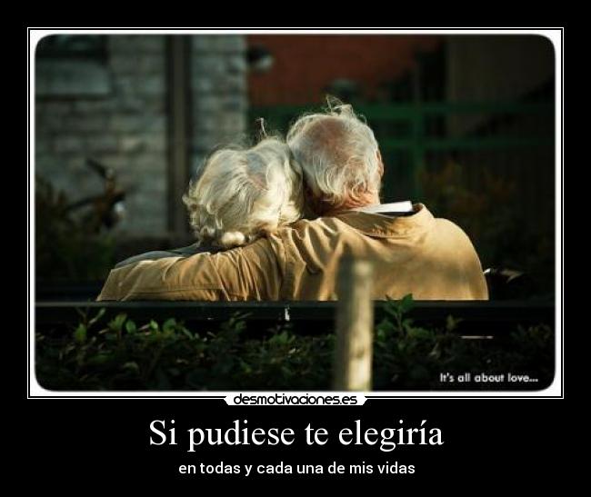 Si pudiese te elegiría - en todas y cada una de mis vidas