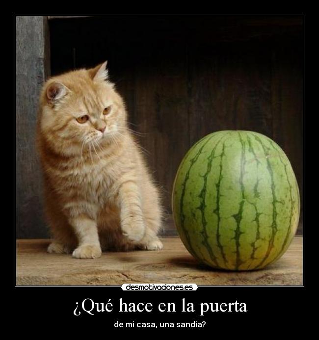 ¿Qué hace en la puerta - de mi casa, una sandia?