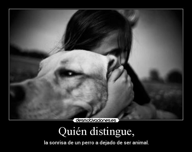 carteles saith desmotivaciones