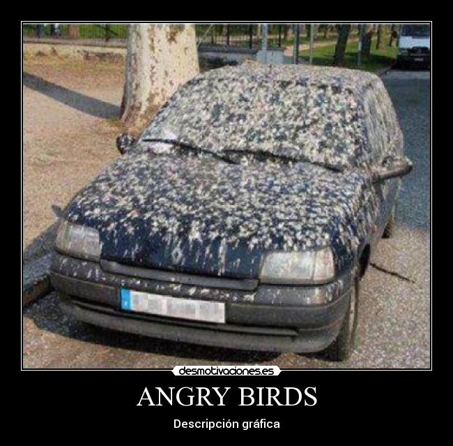 ANGRY BIRDS - Descripción gráfica