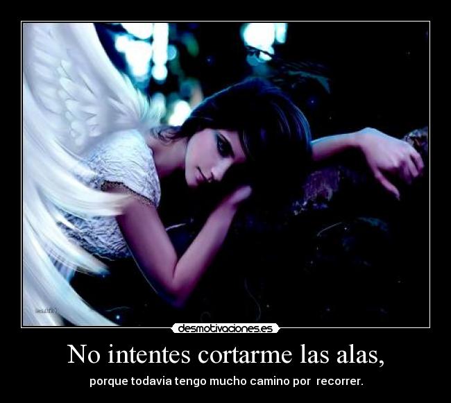 No intentes cortarme las alas, -