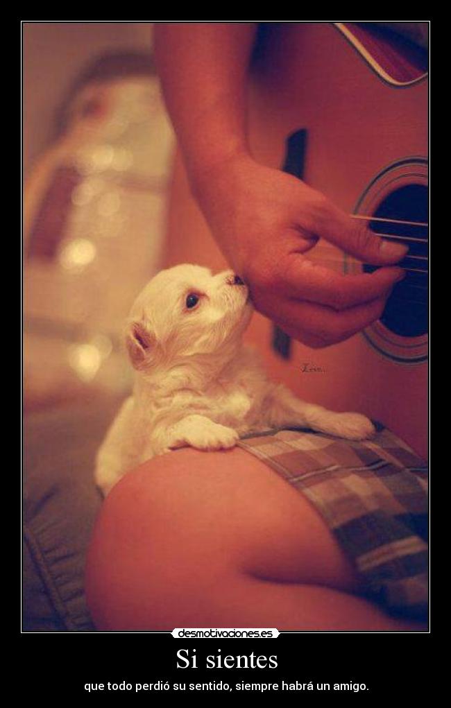 Si sientes - 