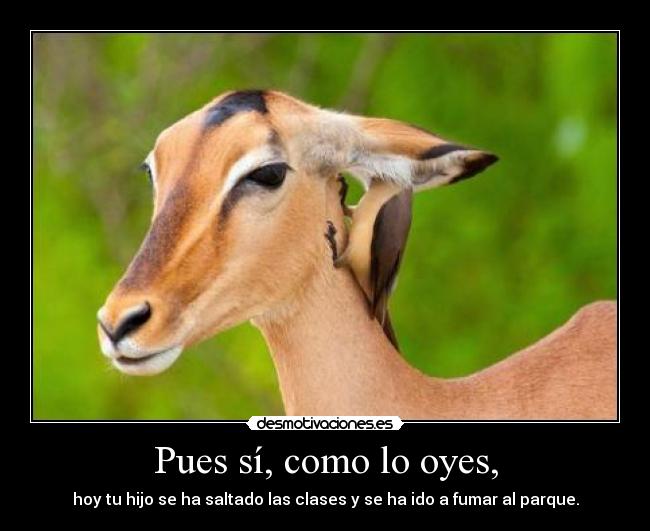 Pues sí, como lo oyes, - hoy tu hijo se ha saltado las clases y se ha ido a fumar al parque.