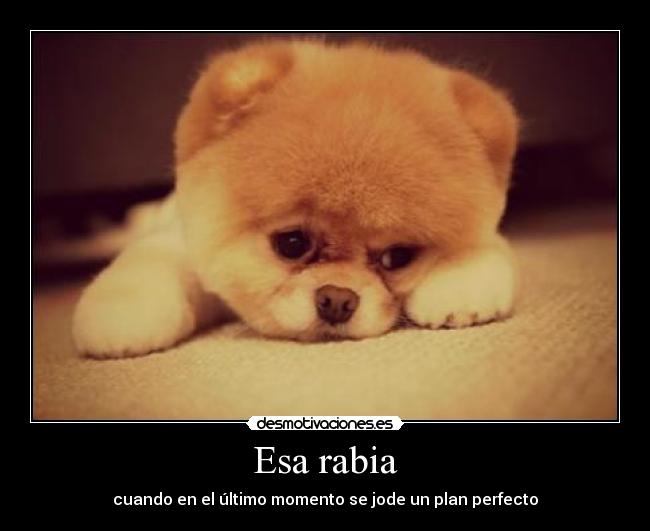 Esa rabia - cuando en el último momento se jode un plan perfecto