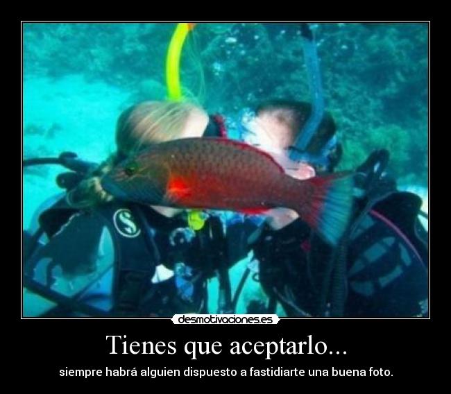 Tienes que aceptarlo... -