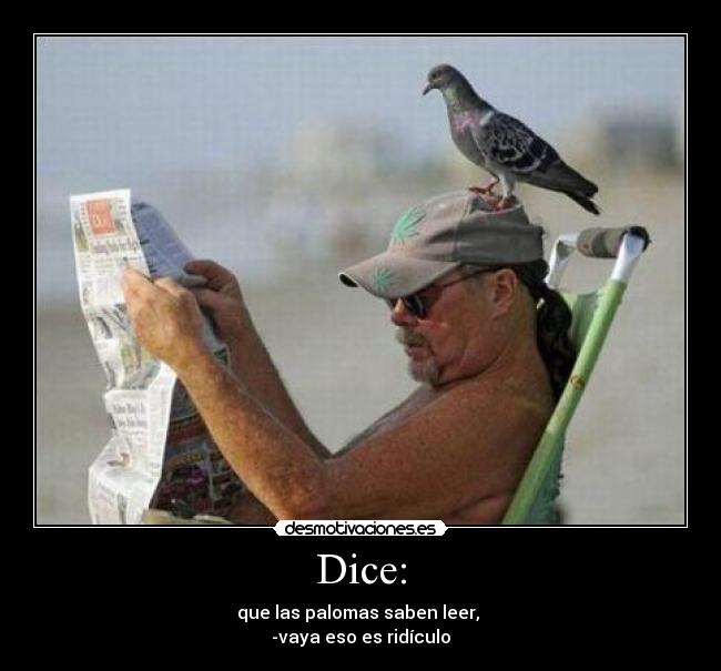 Dice: - 