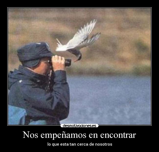 Nos empeñamos en encontrar -