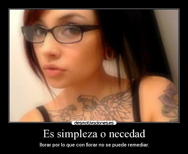 Es simpleza o necedad -