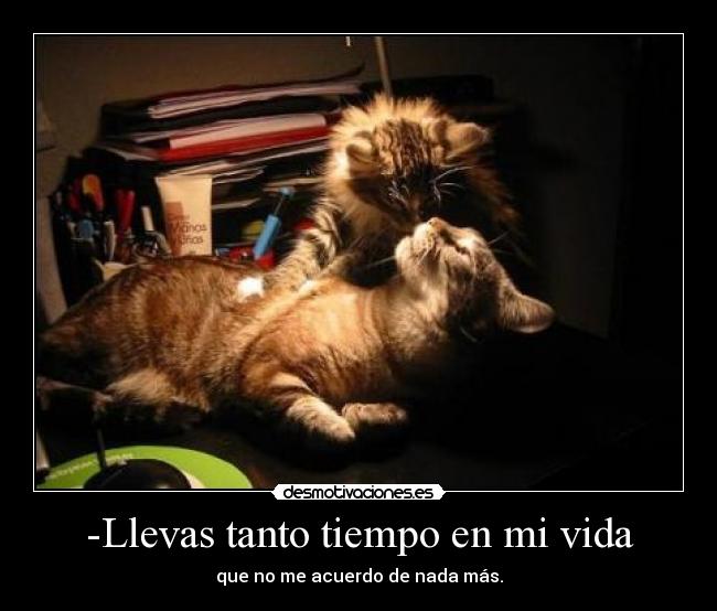 -Llevas tanto tiempo en mi vida -