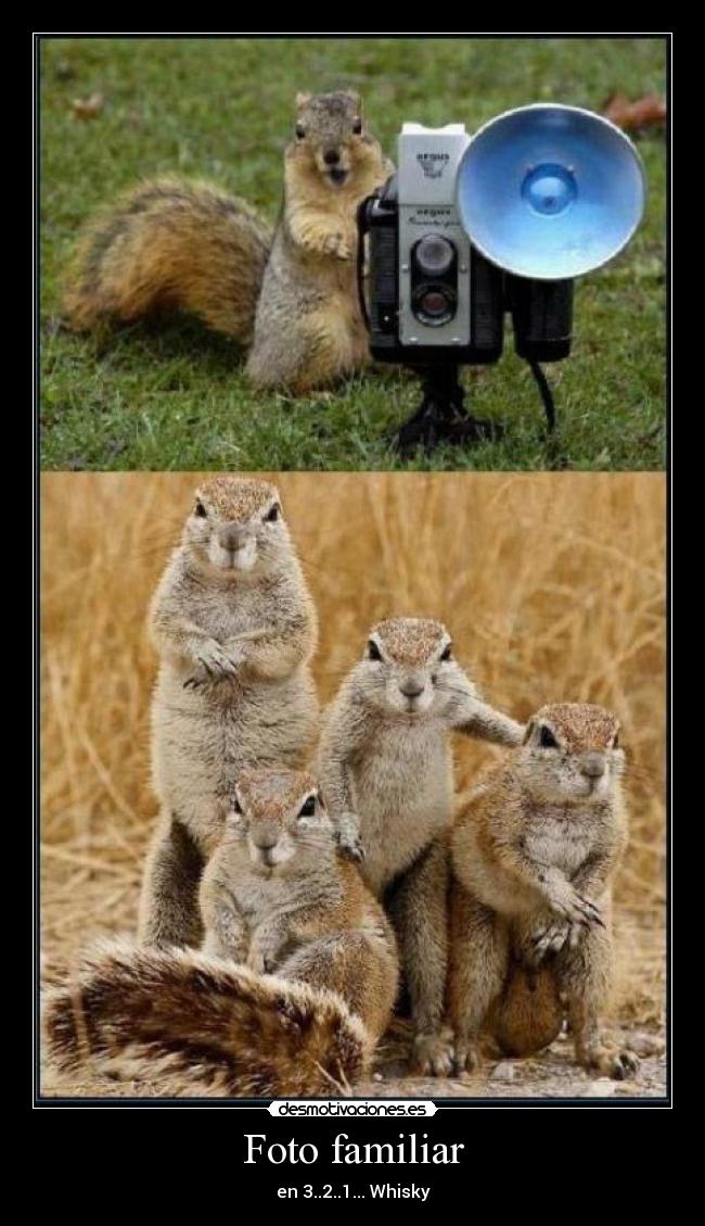 Foto familiar - en 3..2..1... Whisky