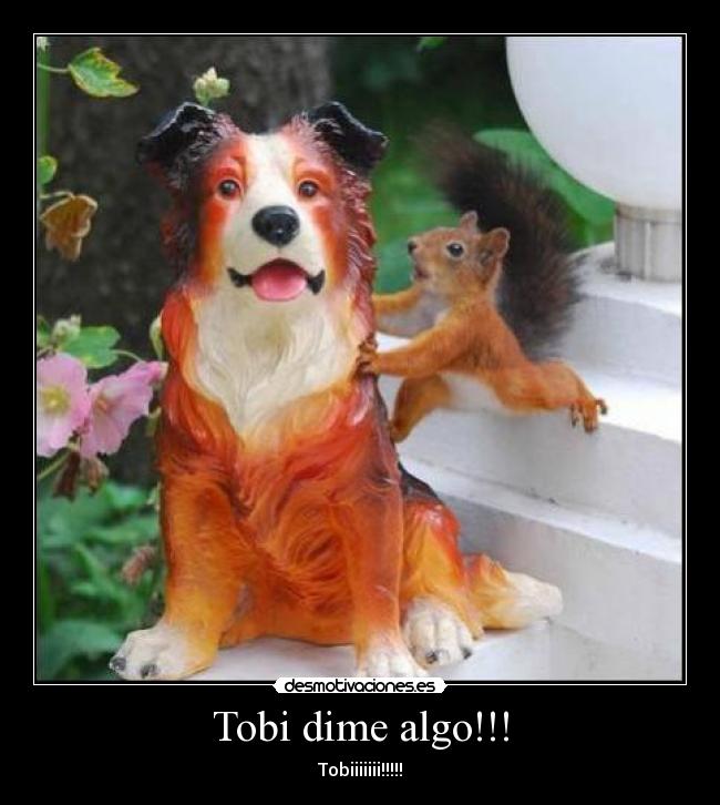 Tobi dime algo!!! - Tobiiiiiii!!!!!