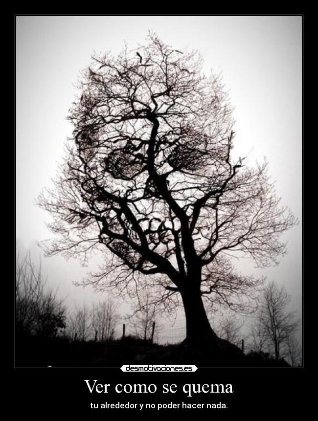 carteles ethurw desmotivaciones