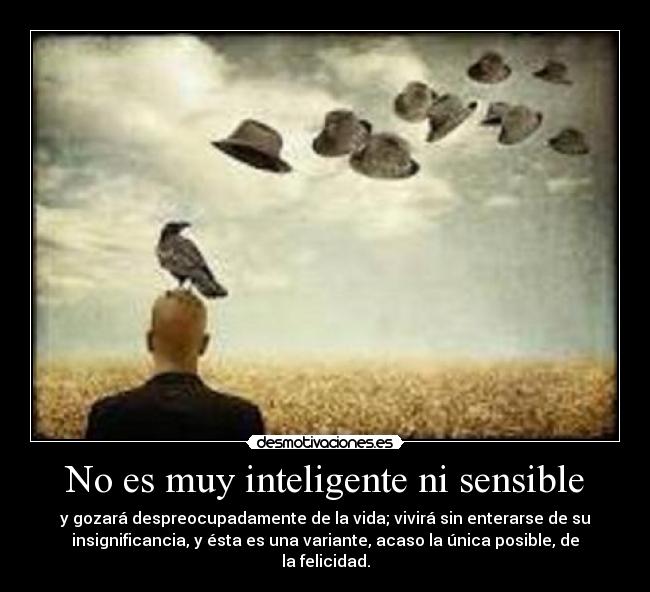 No es muy inteligente ni sensible - 