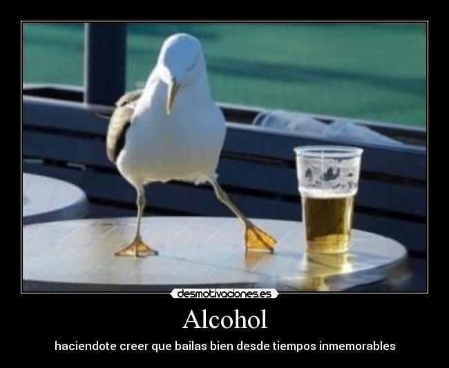 Alcohol - haciendote creer que bailas bien desde tiempos inmemorables