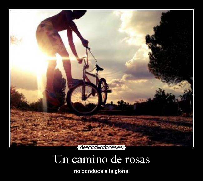 Un camino de rosas - 