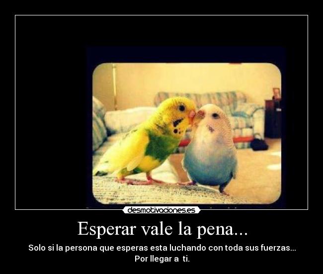 carteles jozezito desmotivaciones