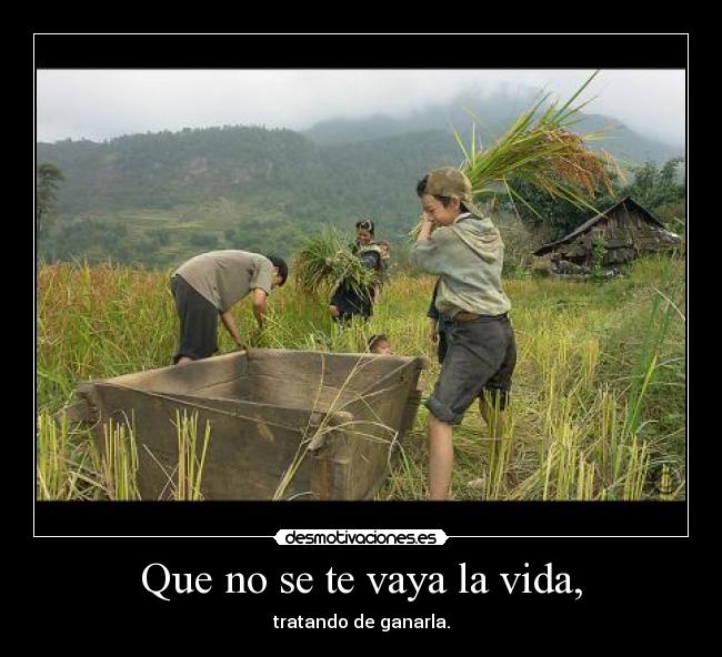 carteles vida aluanime esta repetido asi que maten desmotivaciones