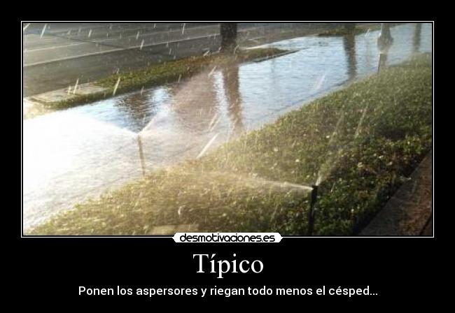 carteles tipico desmotivaciones
