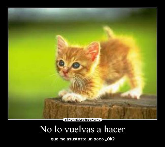 No lo vuelvas a hacer - que me asustaste un poco ¿OK?