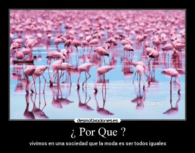 ¿ Por Que ? - vivimos en una sociedad que la moda es ser todos iguales