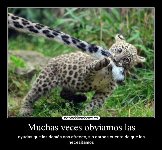 Muchas veces obviamos las - ayudas que los demás nos ofrecen, sin darnos cuenta de que las necesitamos