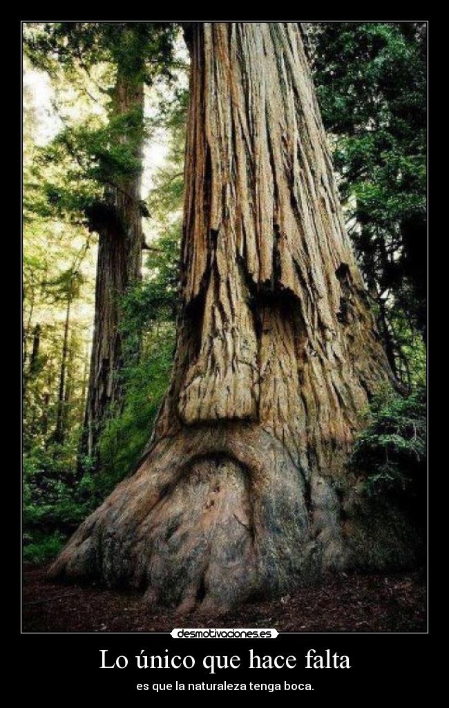 Lo único que hace falta - es que la naturaleza tenga boca.