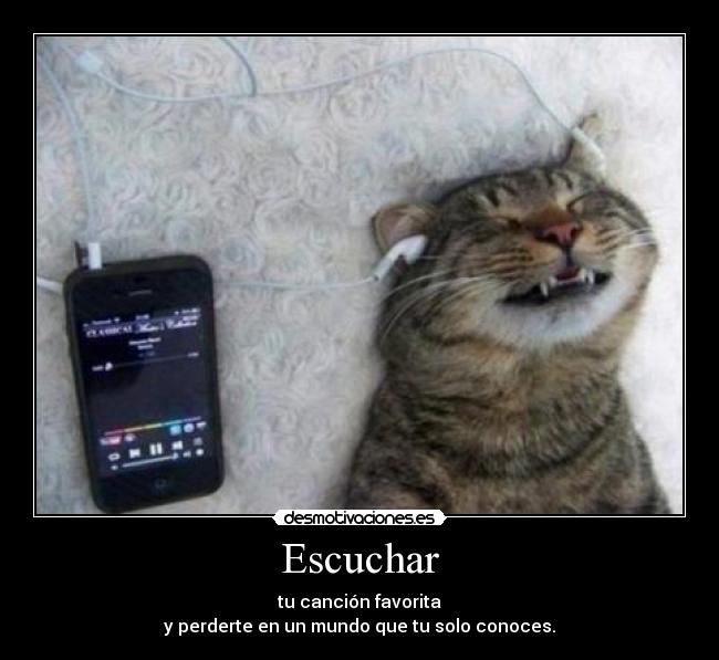 Escuchar - tu canción favorita
y perderte en un mundo que tu solo conoces.