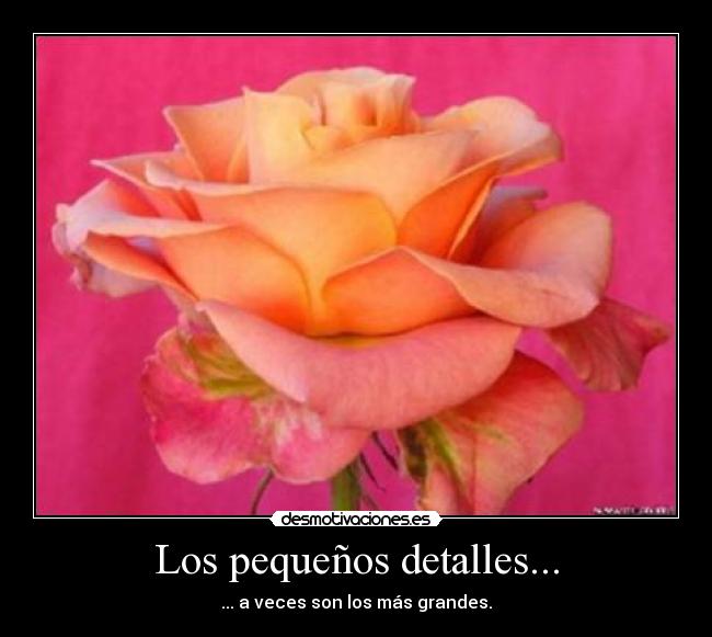 Los pequeños detalles... -