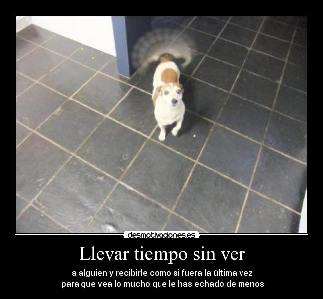 Llevar tiempo sin ver - 