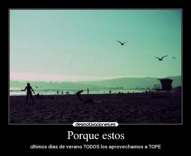 Porque estos - últimos días de verano TODOS los aprovechamos a TOPE