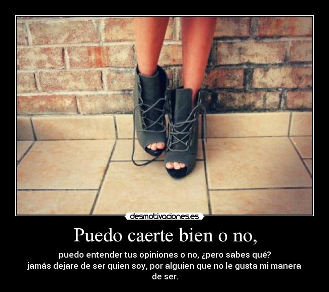 Puedo caerte bien o no, - 