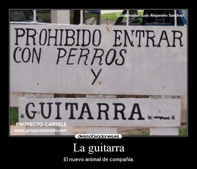 La guitarra - El nuevo animal de compañía.