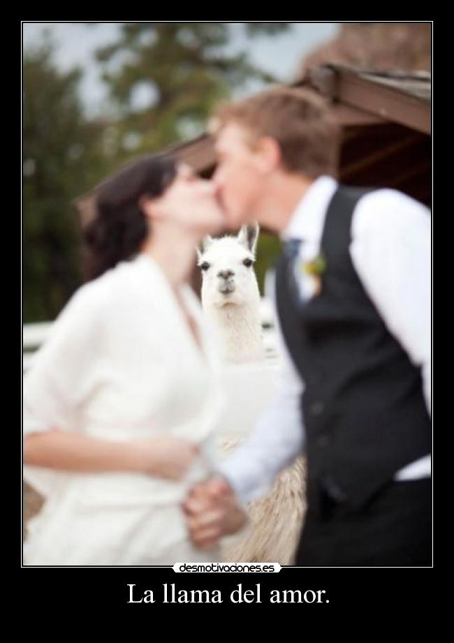 La llama del amor. -