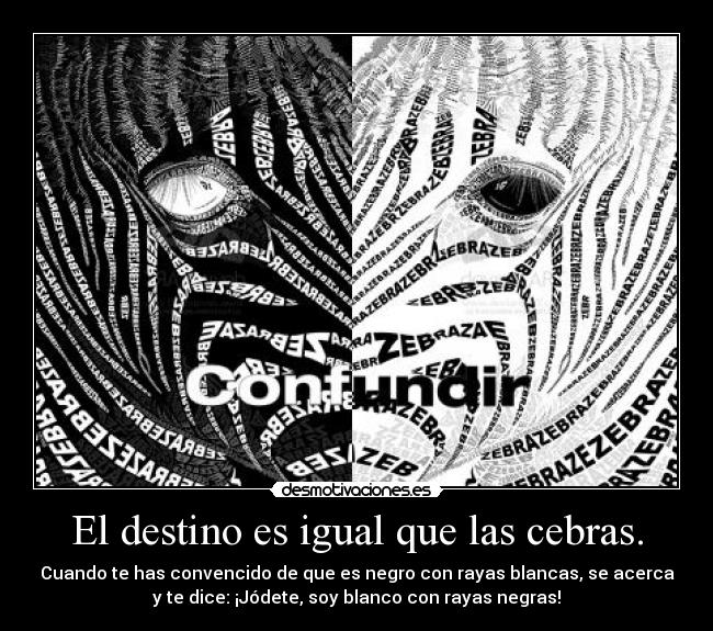 El destino es igual que las cebras. - 