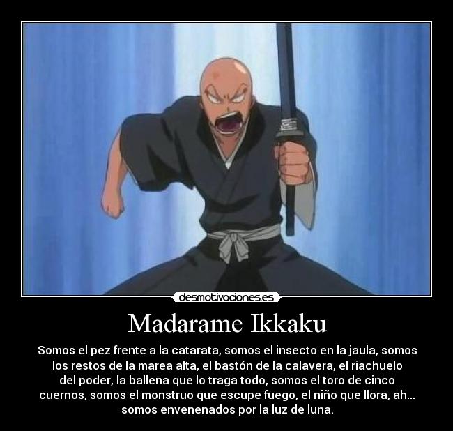 Madarame Ikkaku - Somos el pez frente a la catarata, somos el insecto en la jaula, somos
los restos de la marea alta, el bastón de la calavera, el riachuelo
del poder, la ballena que lo traga todo, somos el toro de cinco
cuernos, somos el monstruo que escupe fuego, el niño que llora, ah...
somos envenenados por la luz de luna.
