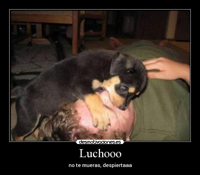 Luchooo - no te mueras, despiertaaa
