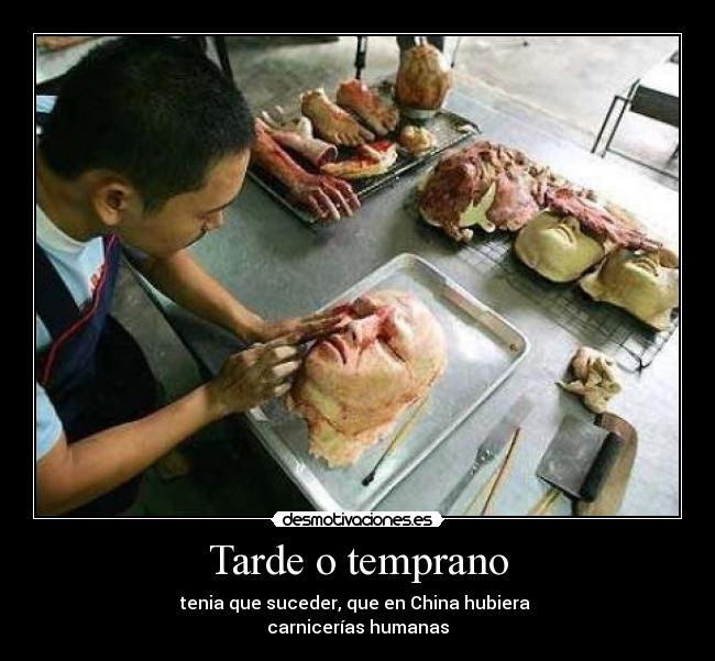 carteles esto miedo desmotivaciones