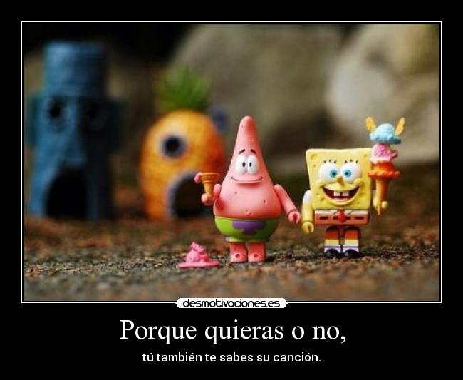 Porque quieras o no, - tú también te sabes su canción.