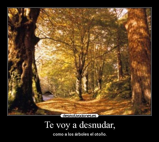 Te voy a desnudar, -