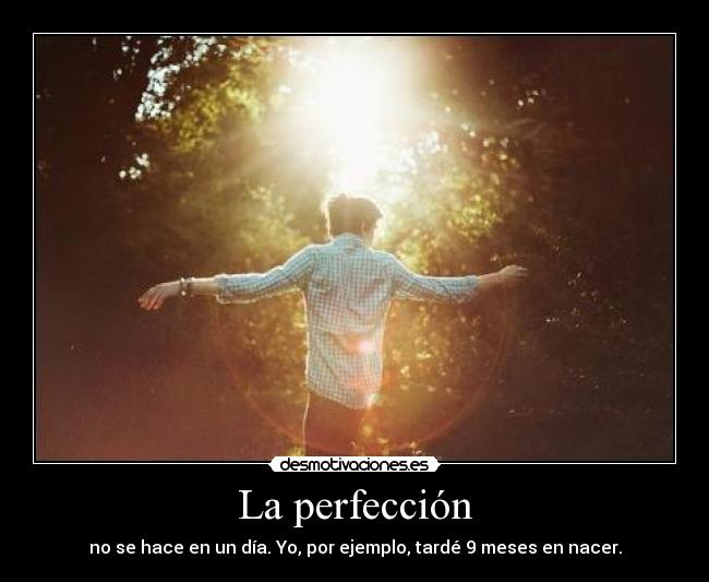 La perfección - 