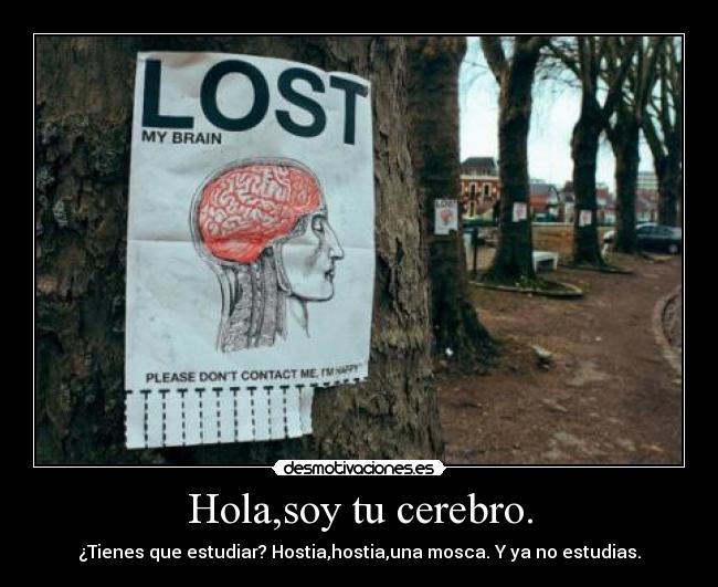 Hola,soy tu cerebro. -