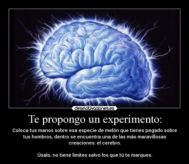 Te propongo un experimento: - Coloca tus manos sobre esa especie de melón que tienes pegado sobre
tus hombros, dentro se encuentra una de las más maravillosas
creaciones: el cerebro.
Úsalo, no tiene limites salvo los que tú te marques.