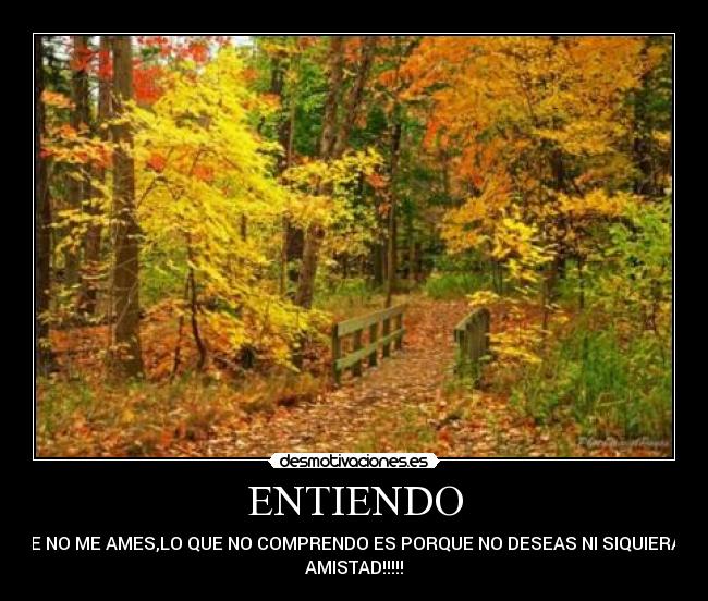 ENTIENDO - 