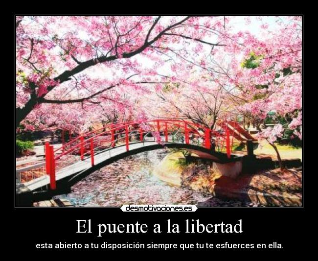 El puente a la libertad Desmotivaciones